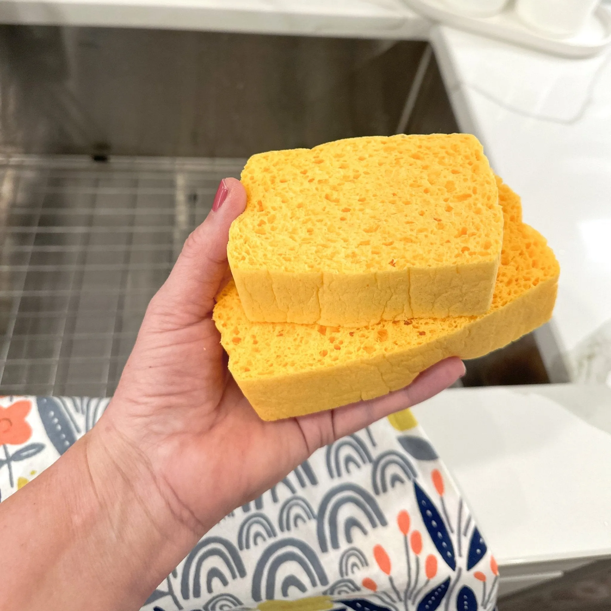 Compressed Sponge
