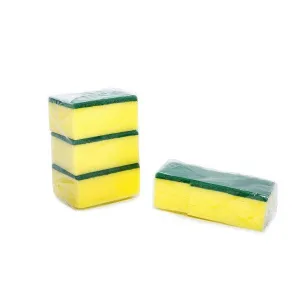 Scourer Sponge
